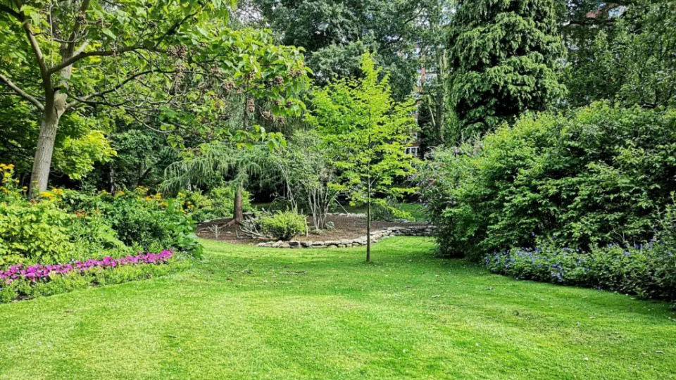 Un giardino intelligente: irrigazione automatica