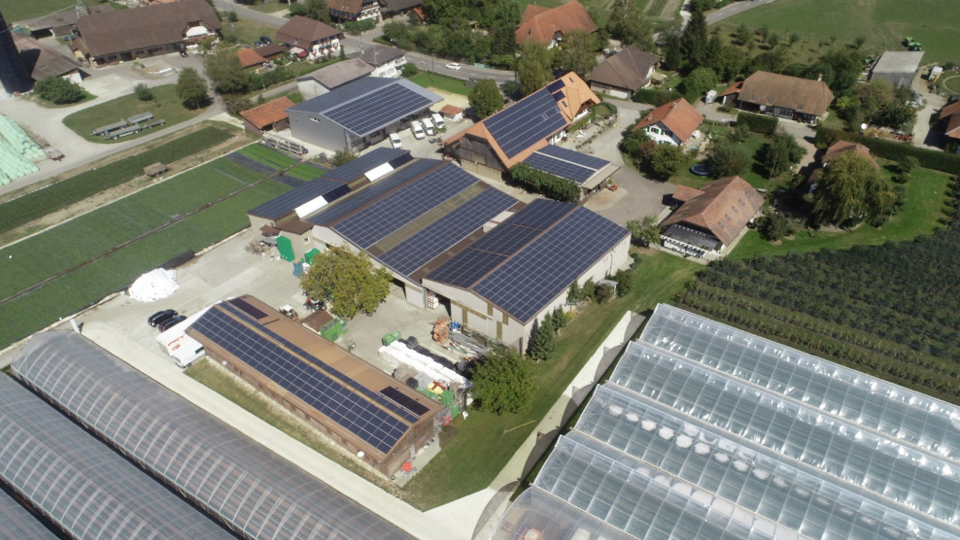 LOXONE im Gewerbe: Lastmanagement bei der Beerenland AG