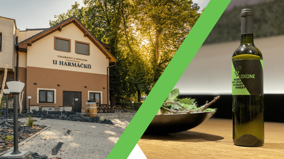 LOXONE im Gewerbe: Smartes Weingut und Pension
