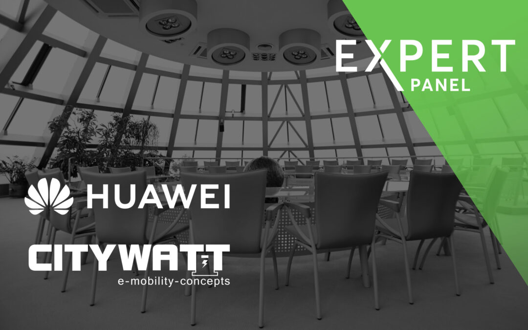 Expert Panel: Energiewende