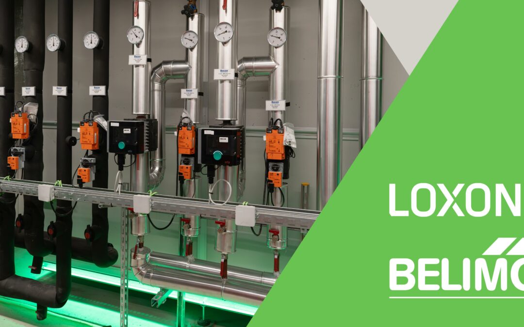 LOXONE x Belimo – Der LOXONE Campus als Vorzeigeprojekt intelligenter Zusammenarbeit