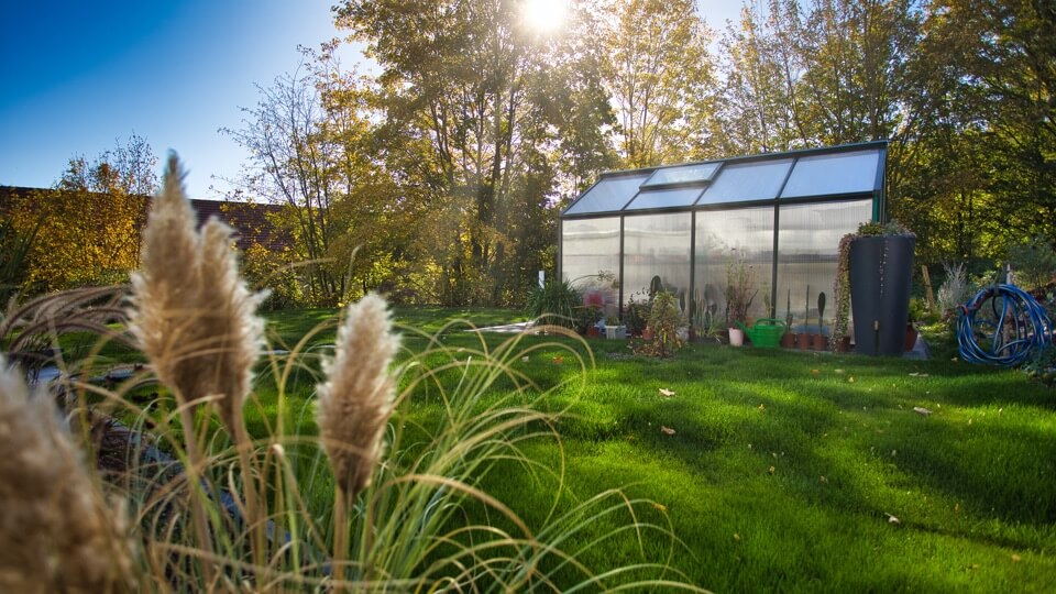 Smart garden helpers: 6 recommendations for an intelligent garden