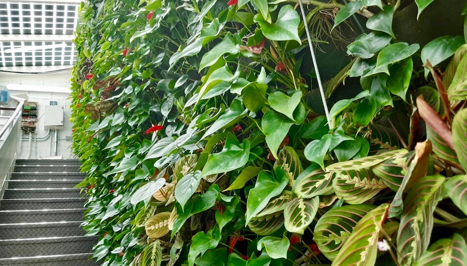 La automatización en jardines verticales
